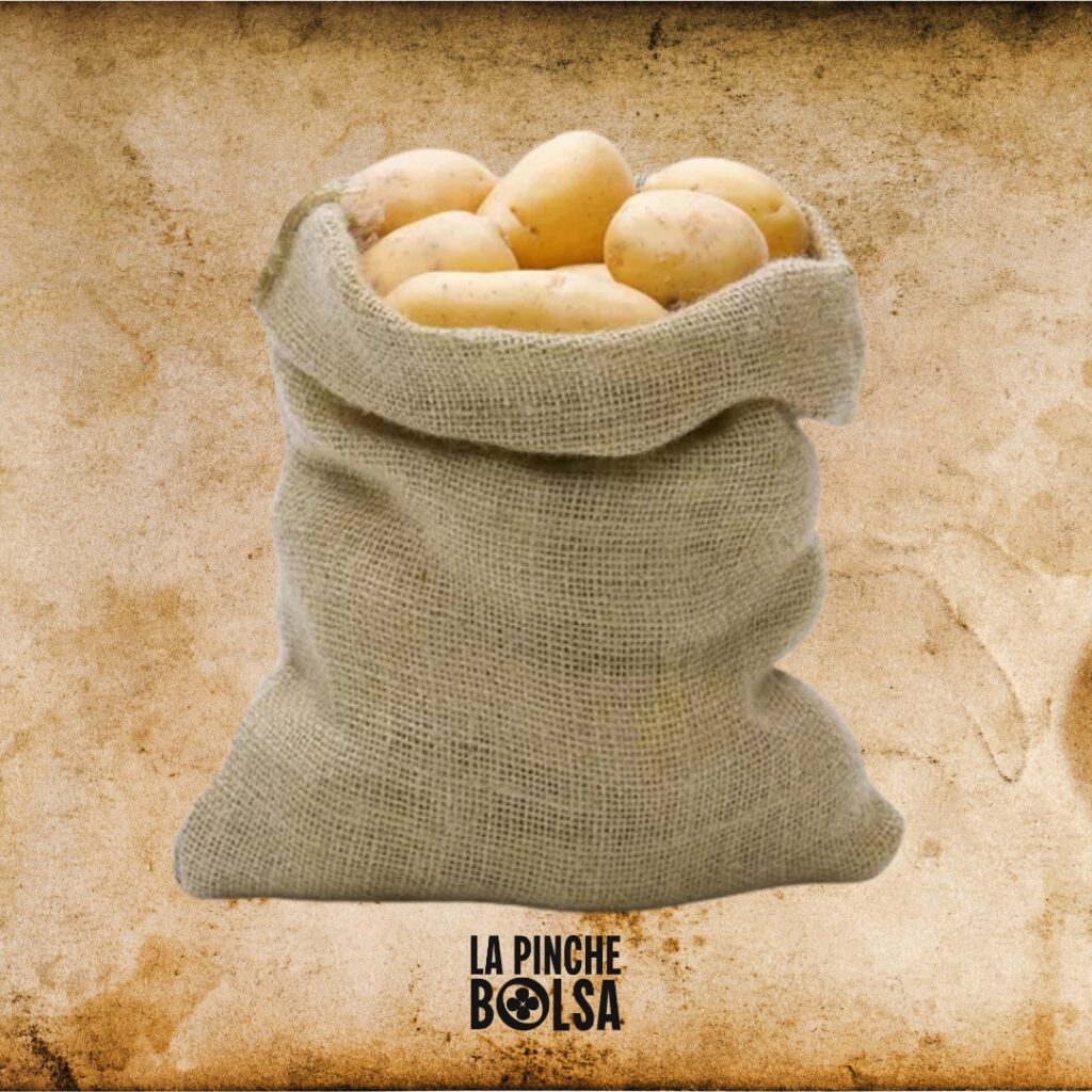 La evolución de las bolsas de loneta.
